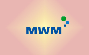 ✓ MWM 0344 3579 Запчасть MWM 